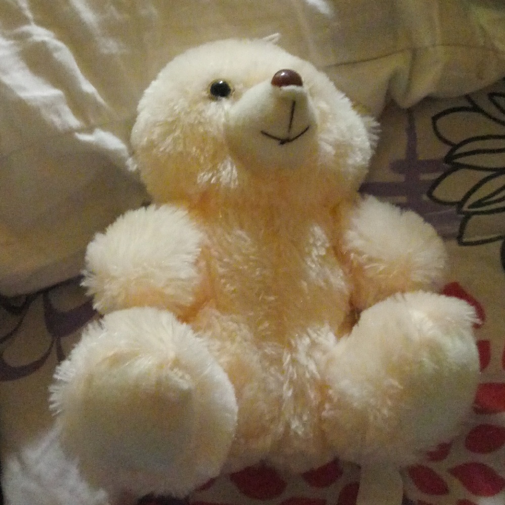 Teddybear 🐻
